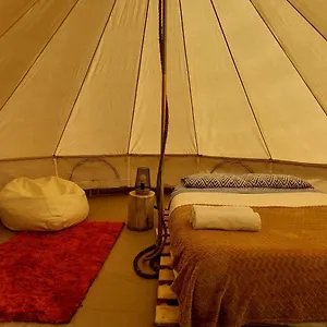 Nature Retreat - Laurel Forest Glamping